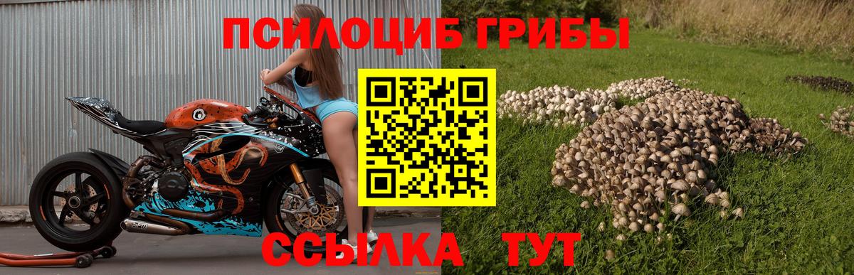 Тихвин  Галлюциногенные грибы ЛСД  Вход с VPN  Псилоцибиновые грибы мухоморы 