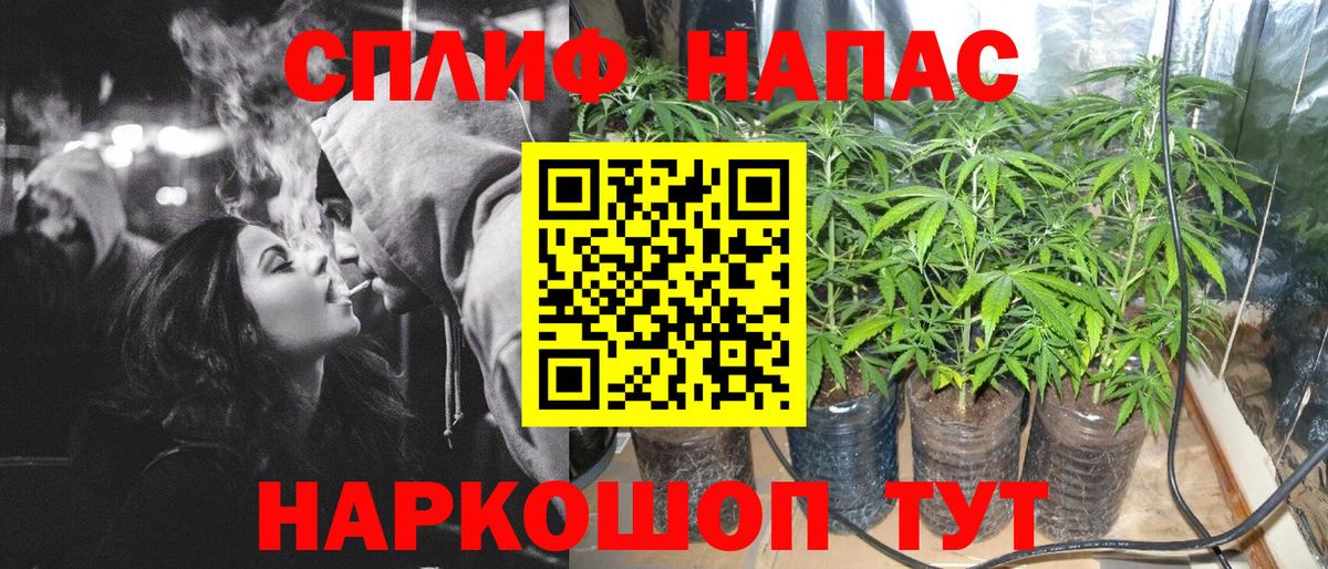 Бошки Шишки план Тихвин